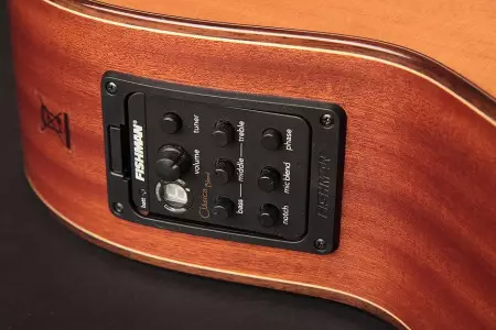 ویژگی گیتار ریموندو 610e